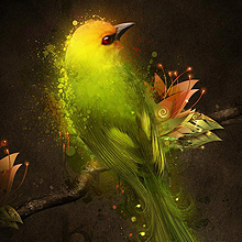 云呼免费网络电话